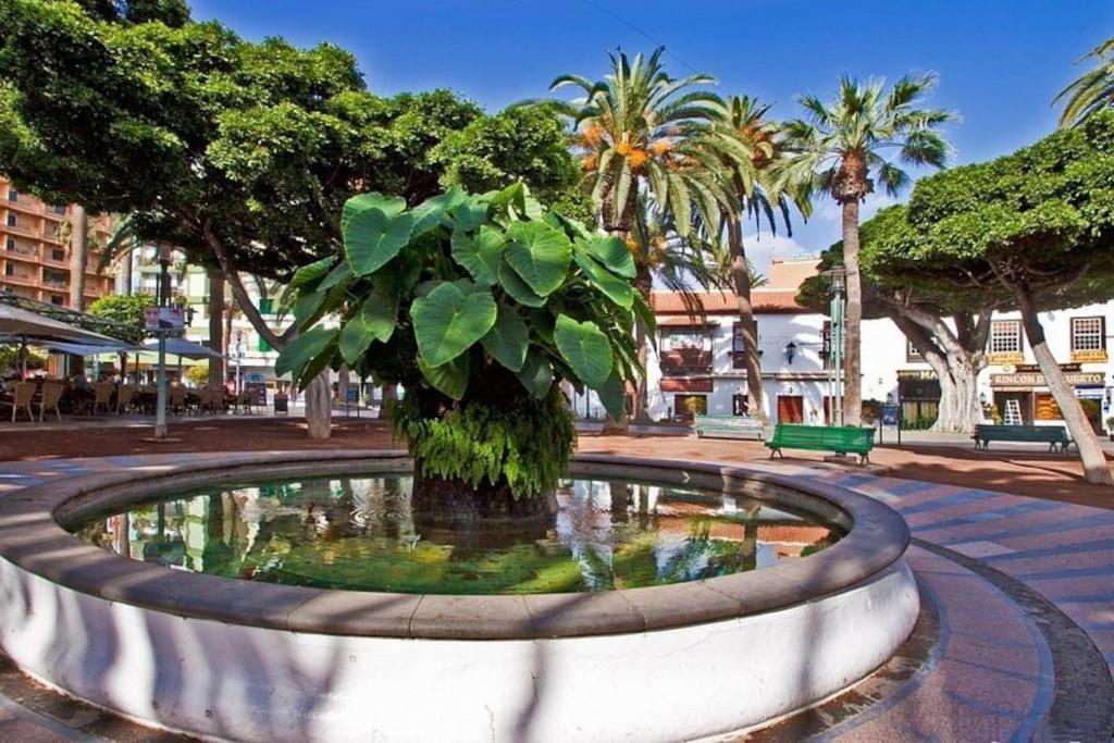 Centrico, Comodo Y Bello Apto En Puerto De La Cruz Dış mekan fotoğraf